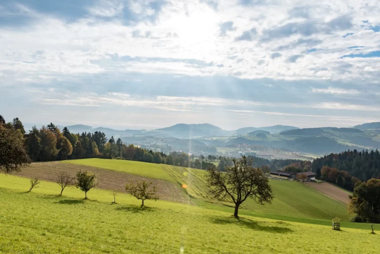 Landschaft C TV Joglland Wald Kopie