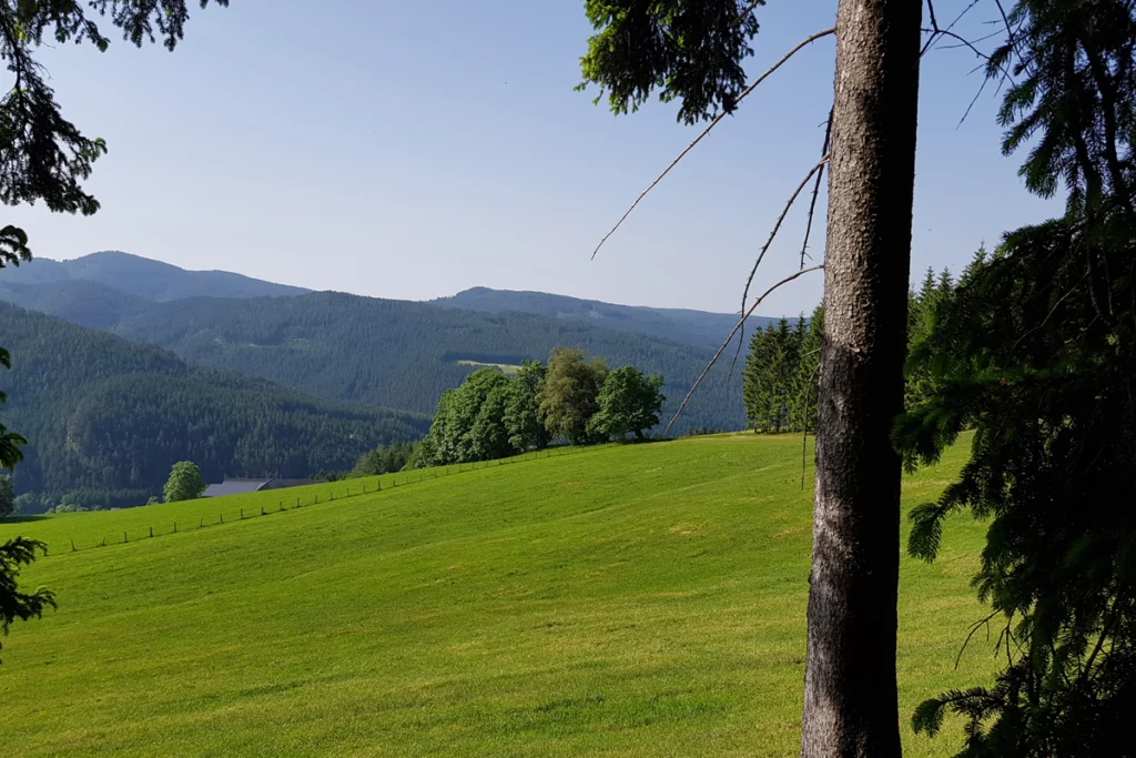 Wellness Waldbaden